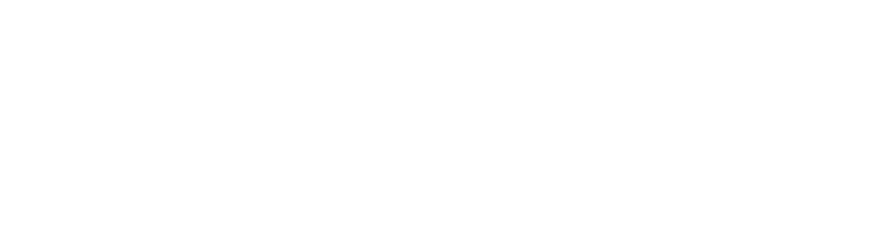 Active Whakapapa